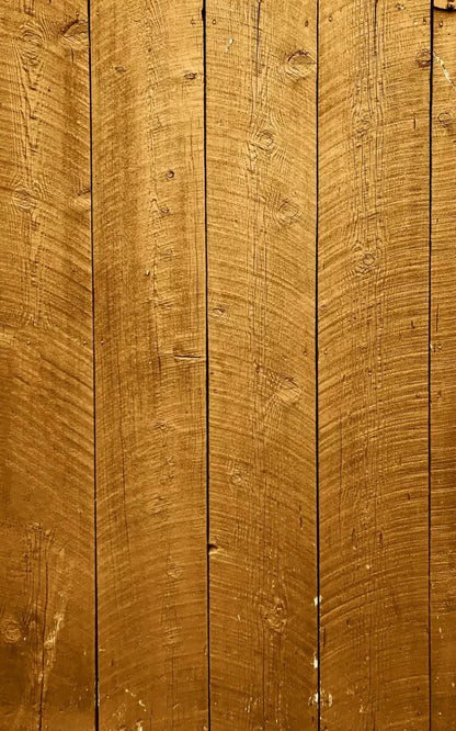 Tacoma 9X14 Ultracloth ( 108 X 168 Inch ) Backdrop