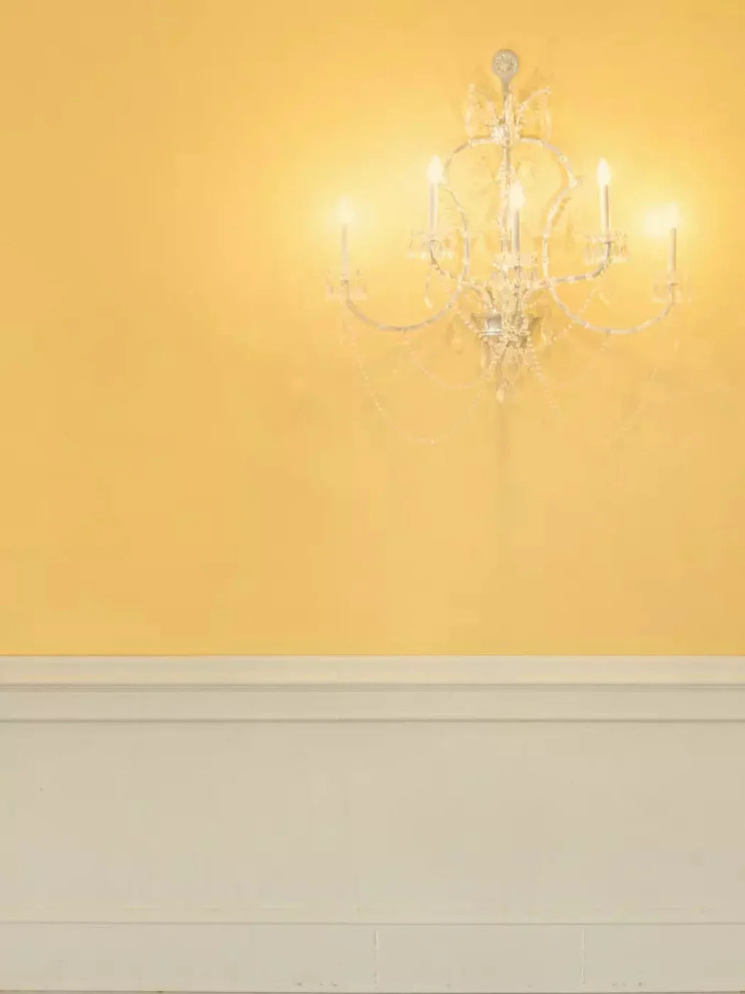 Tall Corn 5X7 Ultracloth ( 60 X 84 Inch ) Backdrop