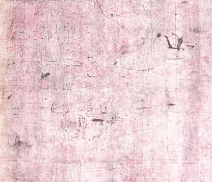 Tame 12X10 Ultracloth ( 144 X 120 Inch ) Backdrop