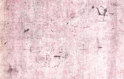Tame 12X8 Ultracloth ( 144 X 96 Inch ) Backdrop