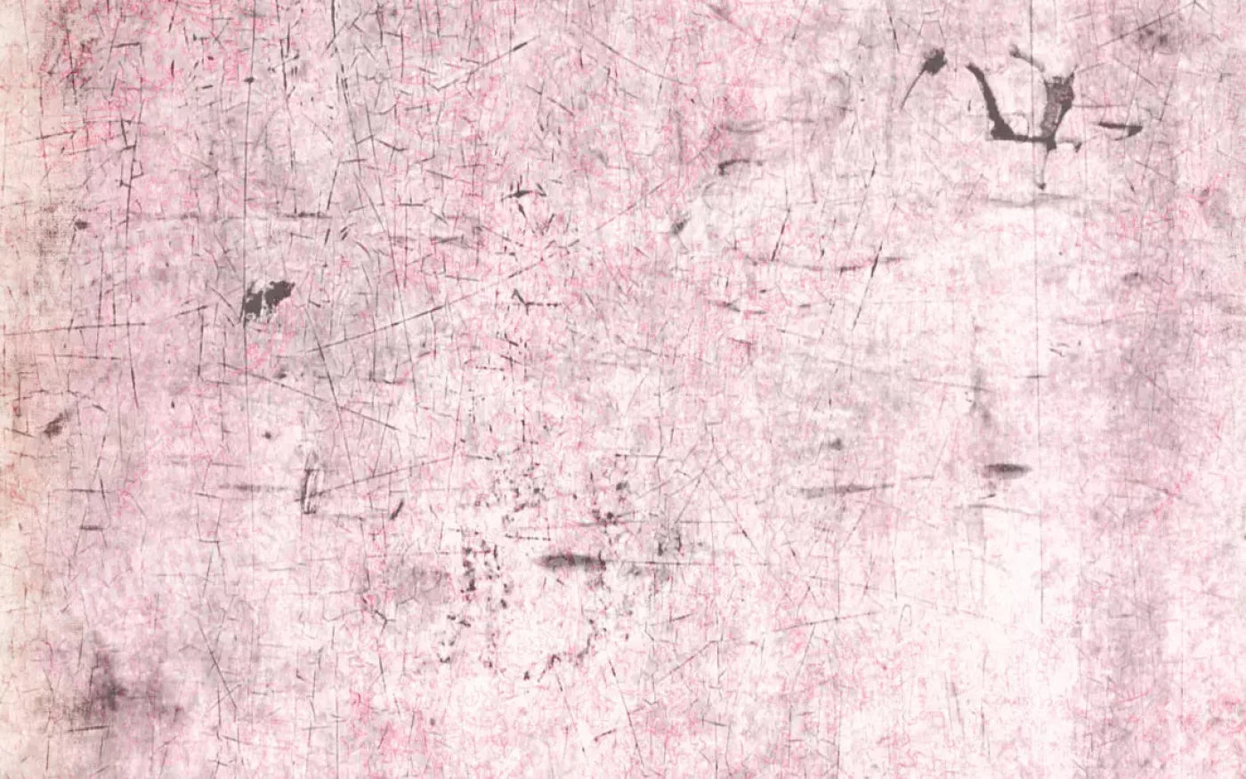 Tame 14X9 Ultracloth ( 168 X 108 Inch ) Backdrop