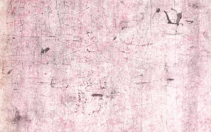 Tame 14X9 Ultracloth ( 168 X 108 Inch ) Backdrop