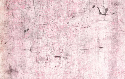 Tame 16X10 Ultracloth ( 192 X 120 Inch ) Backdrop