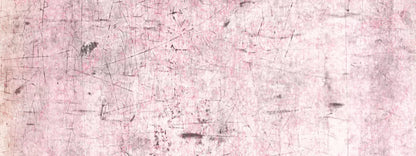 Tame 20X8 Ultracloth ( 240 X 96 Inch ) Backdrop