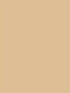 Tan 5X7 Ultracloth ( 60 X 84 Inch ) Backdrop