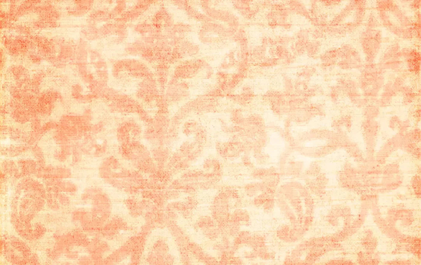 Tangerine 16X10 Ultracloth ( 192 X 120 Inch ) Backdrop