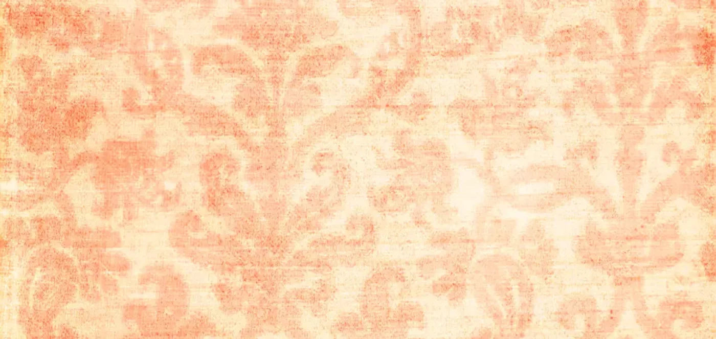 Tangerine 16X8 Ultracloth ( 192 X 96 Inch ) Backdrop