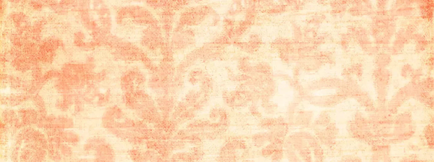 Tangerine 20X8 Ultracloth ( 240 X 96 Inch ) Backdrop