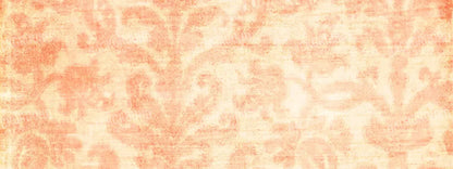 Tangerine 20X8 Ultracloth ( 240 X 96 Inch ) Backdrop
