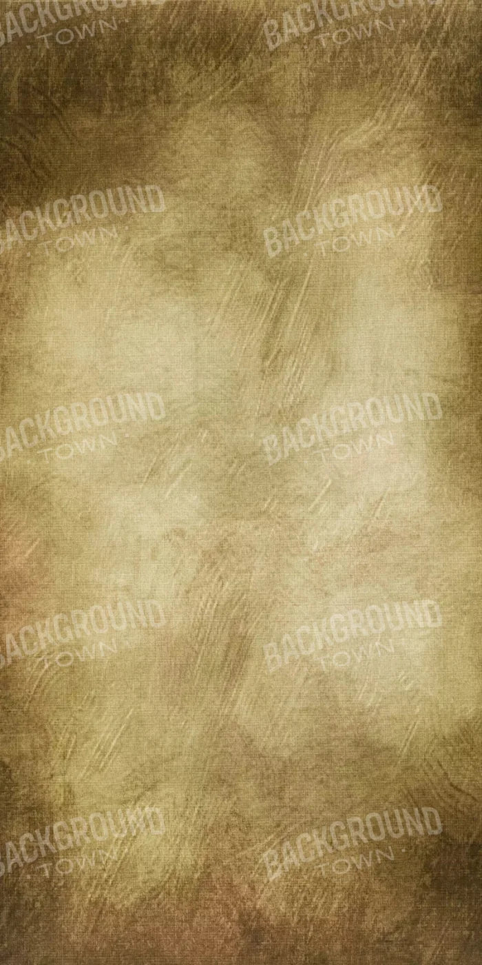 Tarnished 10X20 Ultracloth ( 120 X 240 Inch ) Backdrop