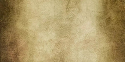 Tarnished 20X10 Ultracloth ( 240 X 120 Inch ) Backdrop