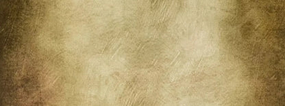 Tarnished 20X8 Ultracloth ( 240 X 96 Inch ) Backdrop