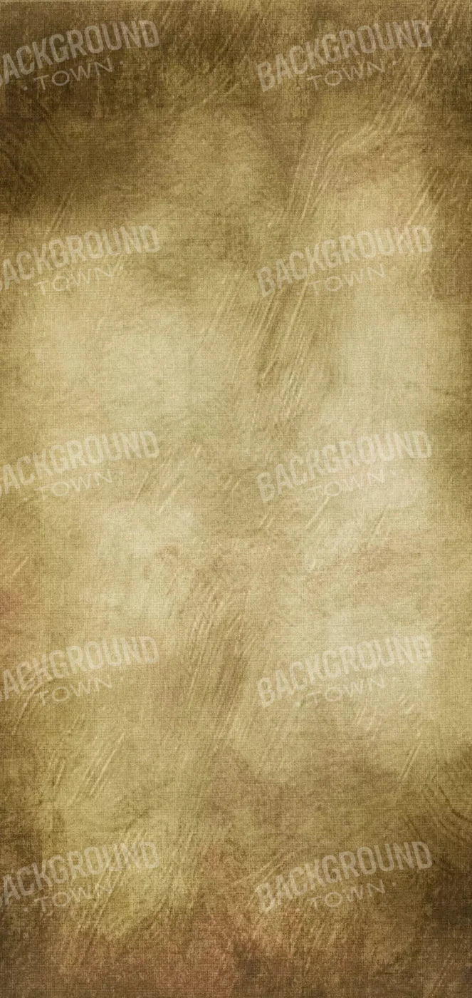 Tarnished 8X16 Ultracloth ( 96 X 192 Inch ) Backdrop