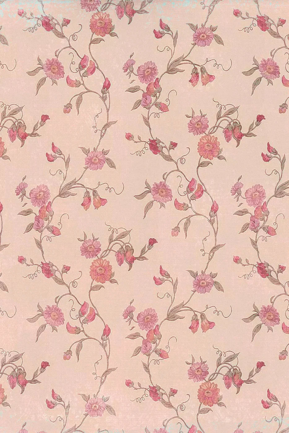 Tatiana Backdrop