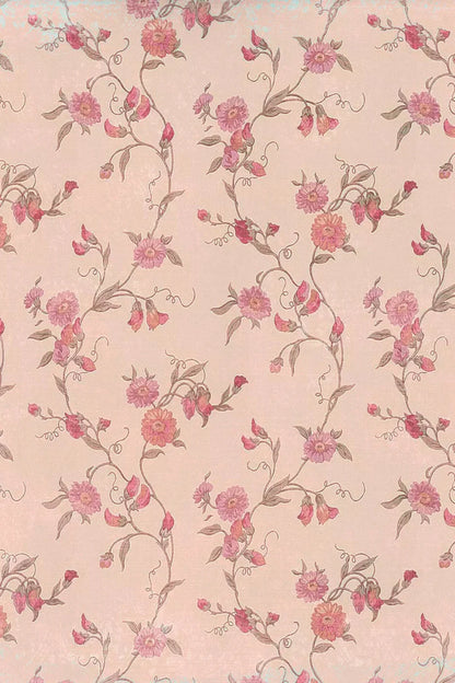 Tatiana Backdrop