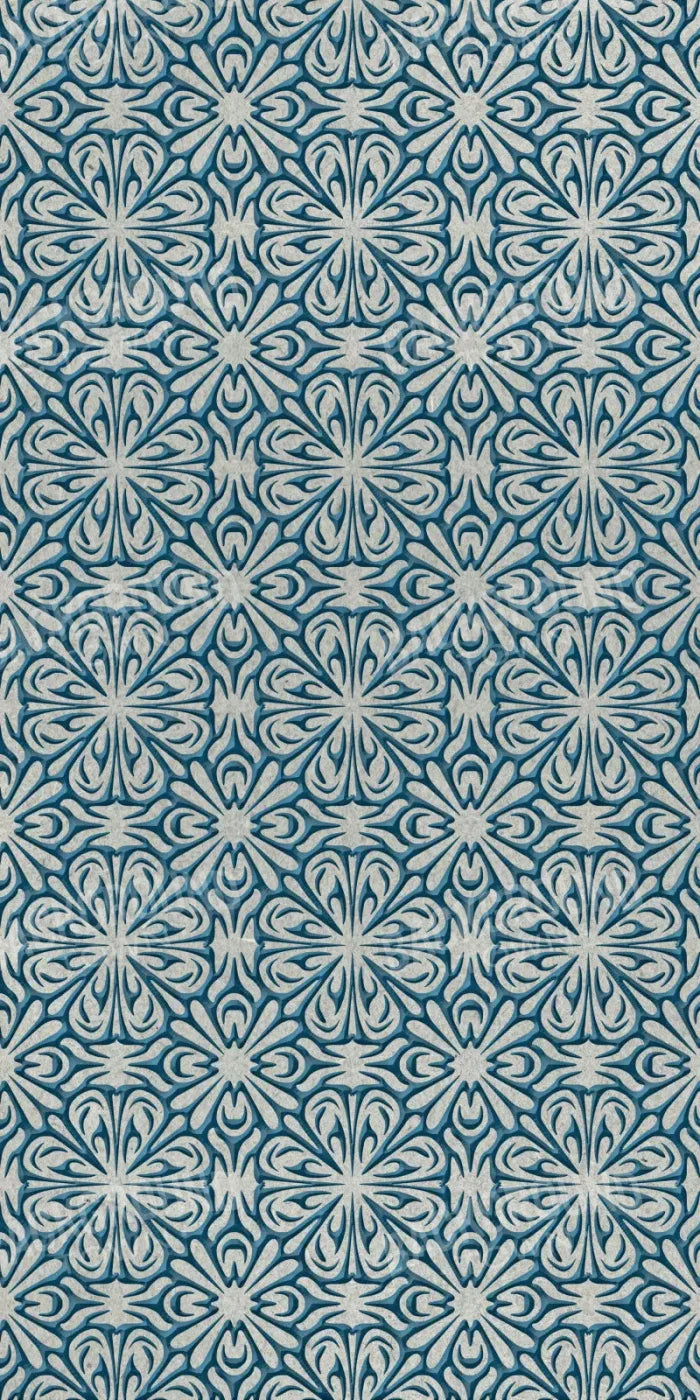 Taylor 10X20 Ultracloth ( 120 X 240 Inch ) Backdrop