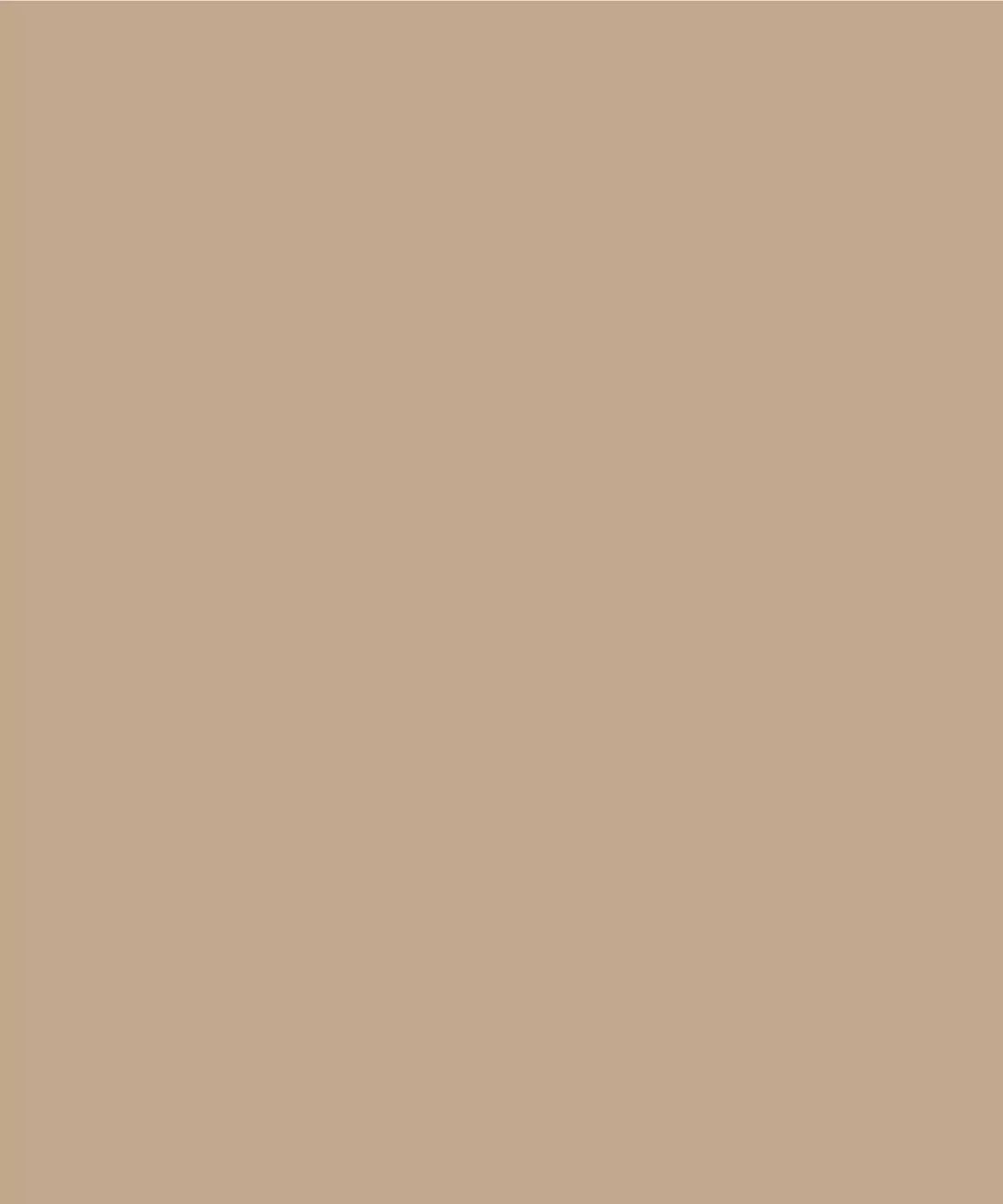 Teak Beige Solid Color Backdrop for Photography