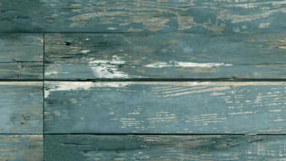 Teakyteal 14X8 Ultracloth ( 168 X 96 Inch ) Backdrop