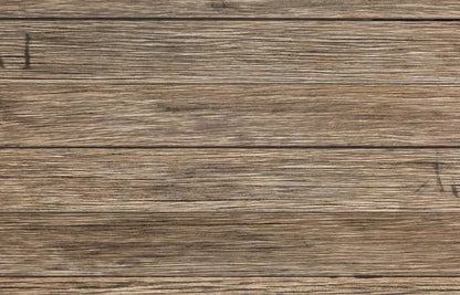 Teddy 12X8 Ultracloth ( 144 X 96 Inch ) Backdrop