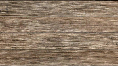 Teddy 14X8 Ultracloth ( 168 X 96 Inch ) Backdrop