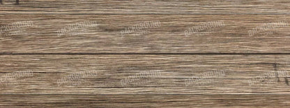 Teddy 20X8 Ultracloth ( 240 X 96 Inch ) Backdrop