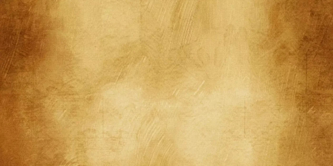 Terra Cotta 20X10 Ultracloth ( 240 X 120 Inch ) Backdrop