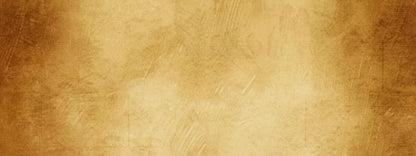 Terra Cotta 20X8 Ultracloth ( 240 X 96 Inch ) Backdrop