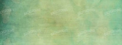 Terrace 20X8 Ultracloth ( 240 X 96 Inch ) Backdrop