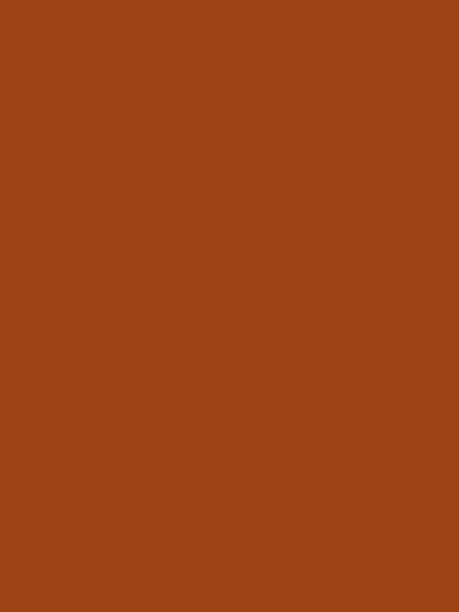 Terracotta 8X10 Ultracloth ( 96 X 120 Inch ) Backdrop