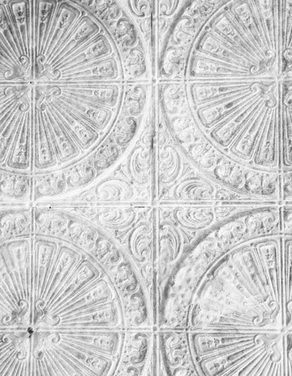 The Ceiling 6’X8’ Fleece (72 X 96 Inch) Backdrop