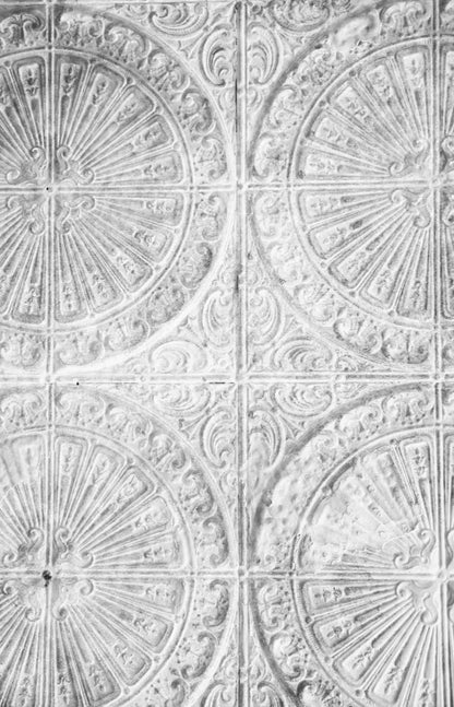 The Ceiling 8’X12’ Ultracloth (96 X 144 Inch) Backdrop