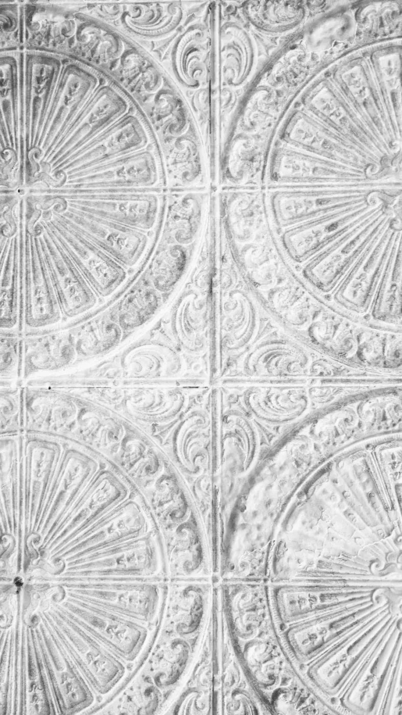 The Ceiling 8’X14’ Ultracloth (96 X 168 Inch) Backdrop