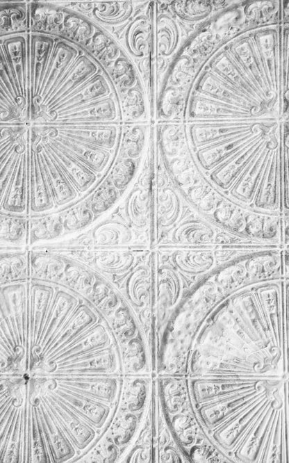 The Ceiling 9’X14’ Ultracloth (108 X 168 Inch) Backdrop