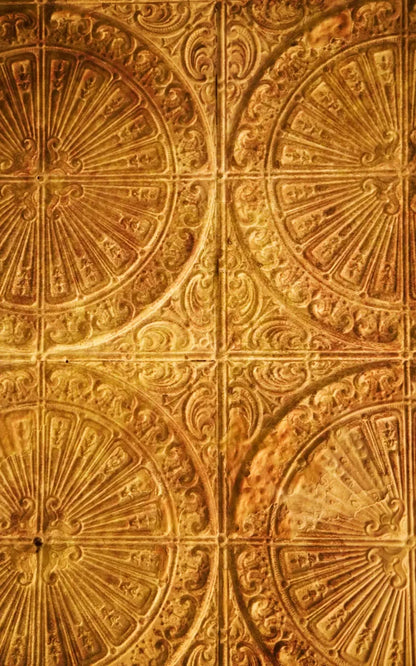 The Ceiling Copper 9’X14’ Ultracloth (108 X 168 Inch) Backdrop