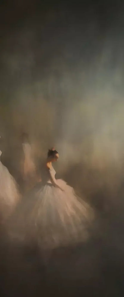 The Dance Studio V 5X12 Ultracloth For Westcott X-Drop ( 60 X 144 Inch ) Backdrop