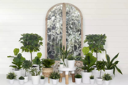 The Garden 8X5 Ultracloth ( 96 X 60 Inch ) Backdrop