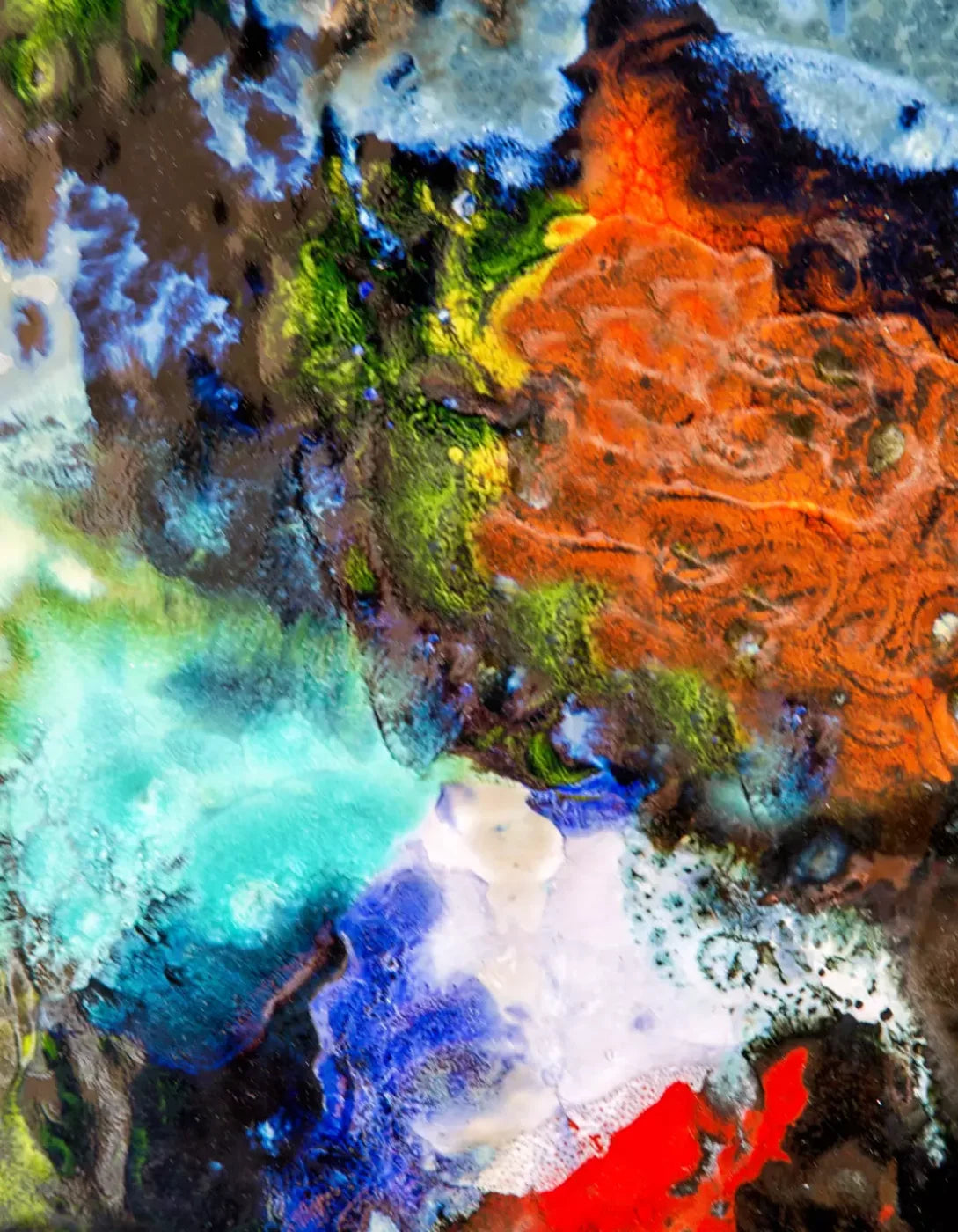 The Palette 6X8 Fleece ( 72 X 96 Inch ) Backdrop