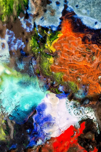The Palette Backdrop
