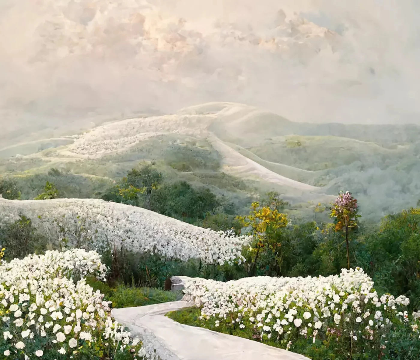 The Pathway In White 12X10 Ultracloth ( 144 X 120 Inch ) Backdrop