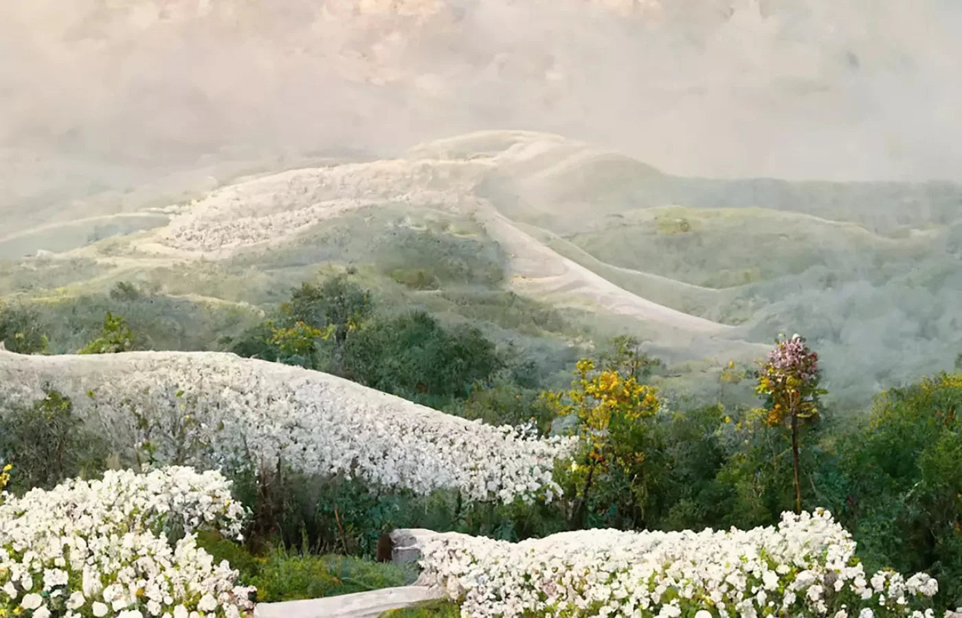 The Pathway In White 12X8 Ultracloth ( 144 X 96 Inch ) Backdrop