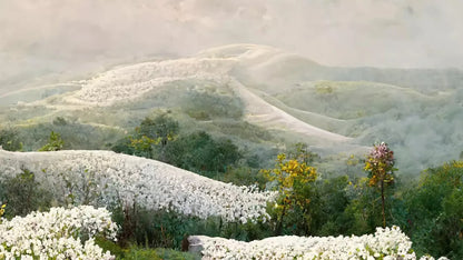 The Pathway In White 14X8 Ultracloth ( 168 X 96 Inch ) Backdrop