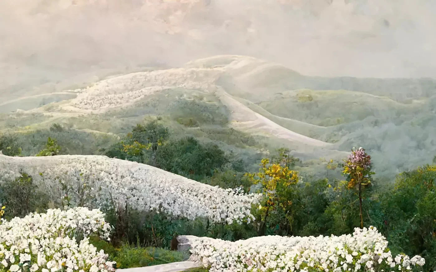The Pathway In White 14X9 Ultracloth ( 168 X 108 Inch ) Backdrop