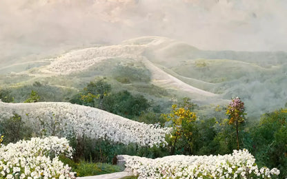 The Pathway In White 14X9 Ultracloth ( 168 X 108 Inch ) Backdrop