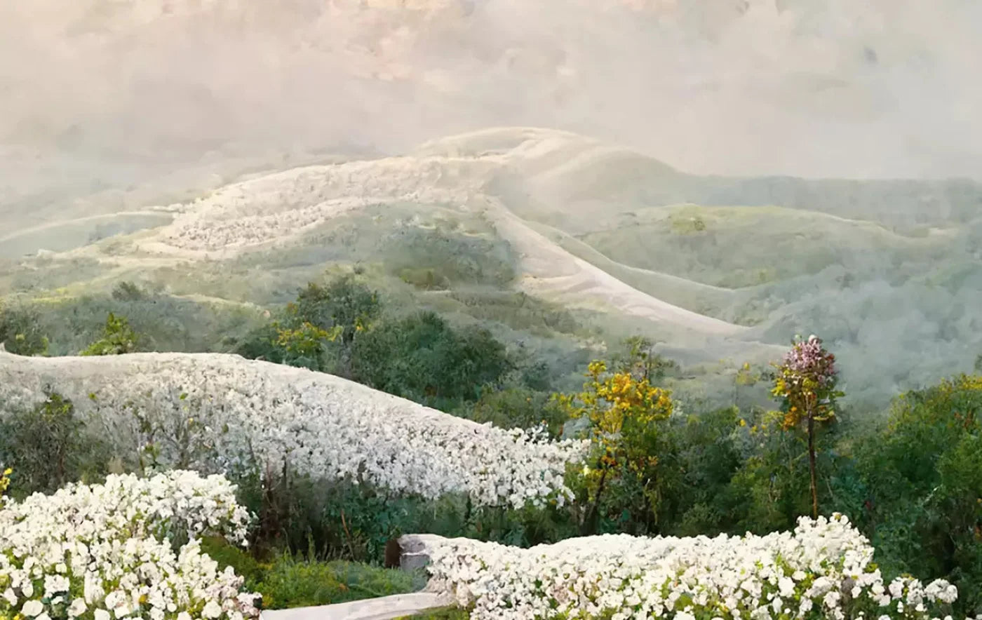 The Pathway In White 16X10 Ultracloth ( 192 X 120 Inch ) Backdrop