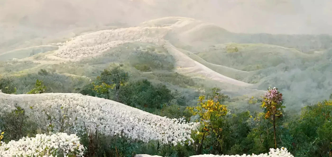 The Pathway In White 16X8 Ultracloth ( 192 X 96 Inch ) Backdrop