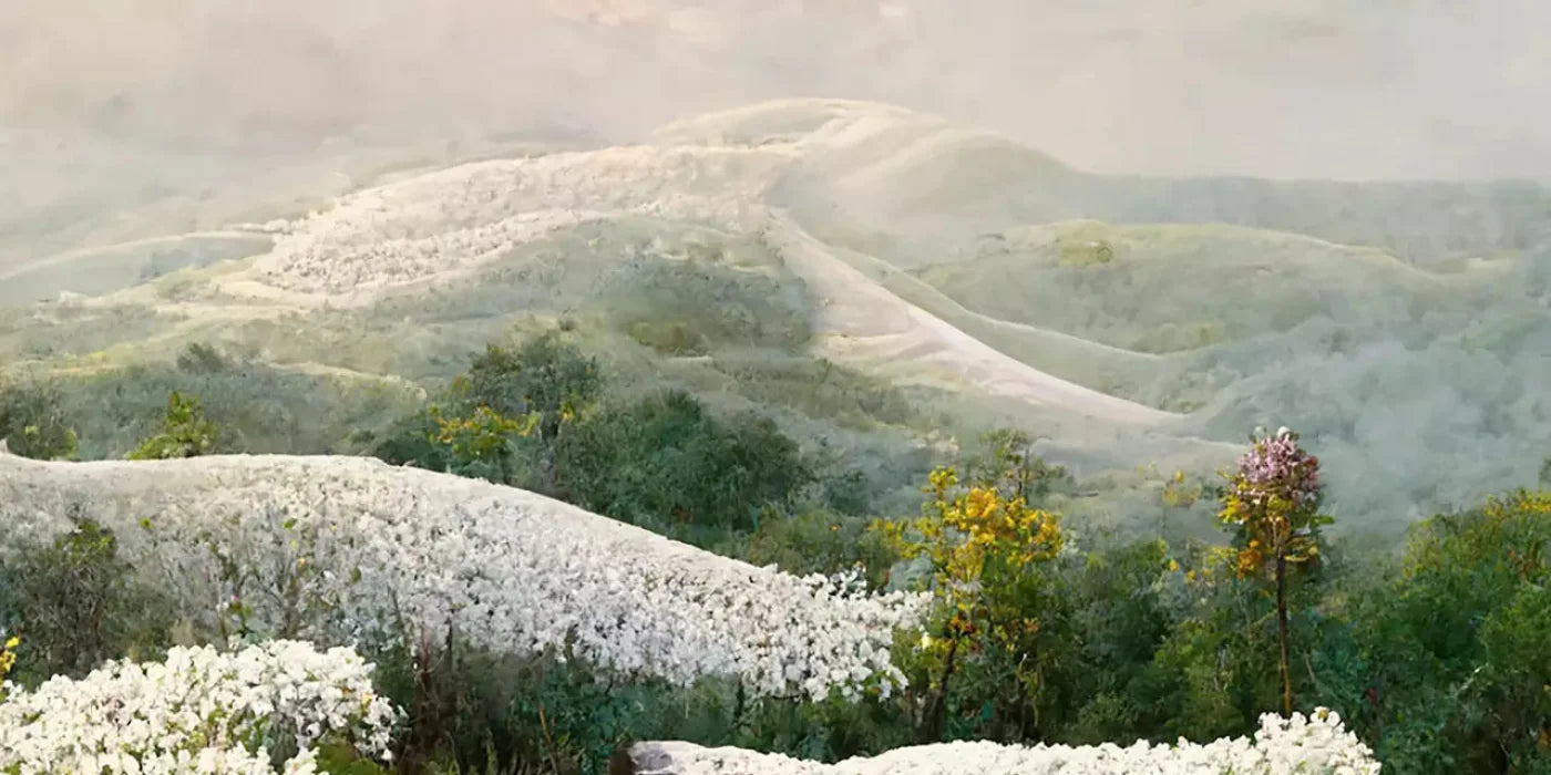 The Pathway In White 20X10 Ultracloth ( 240 X 120 Inch ) Backdrop