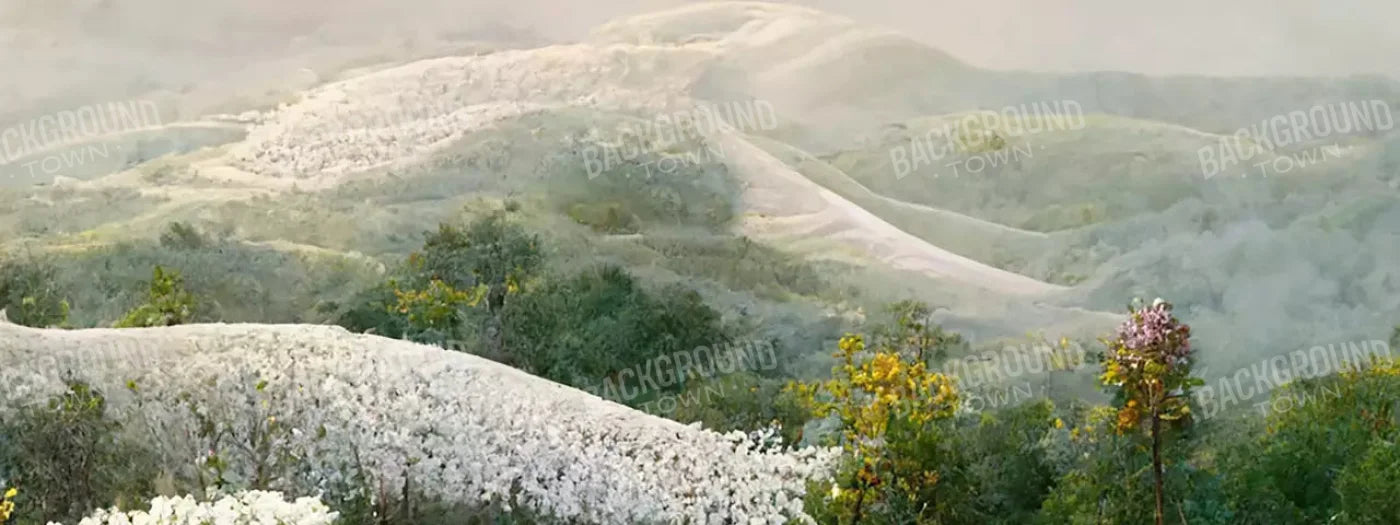 The Pathway In White 20X8 Ultracloth ( 240 X 96 Inch ) Backdrop