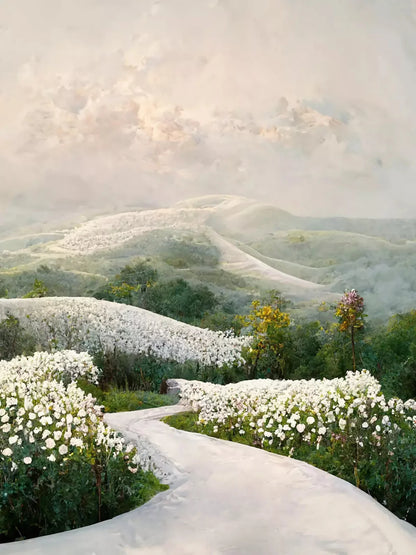 The Pathway In White 5X68 Fleece ( 60 X 80 Inch ) Backdrop
