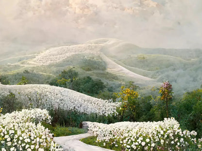 The Pathway In White 68X5 Fleece ( 80 X 60 Inch ) Backdrop