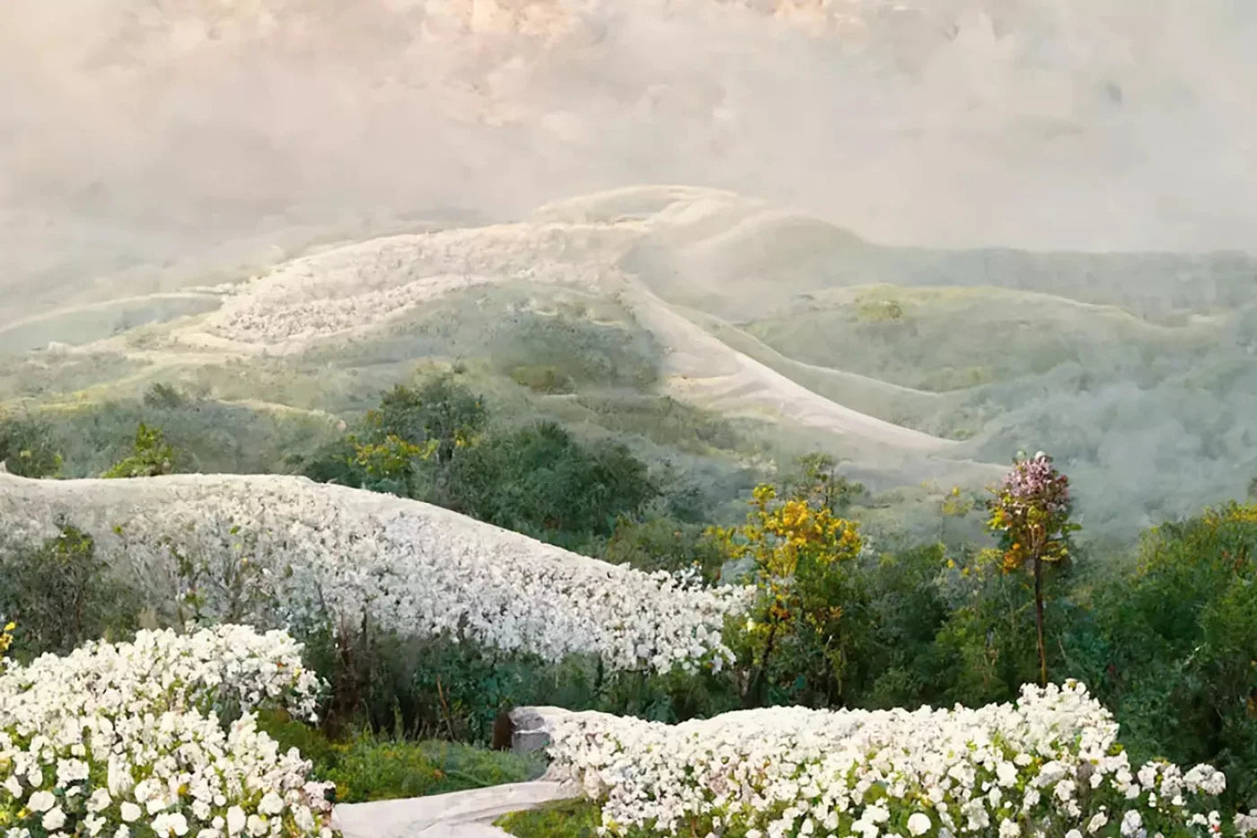 The Pathway In White 8X5 Ultracloth ( 96 X 60 Inch ) Backdrop